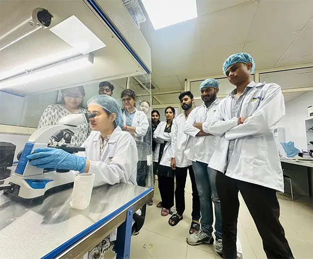 Students collaborating